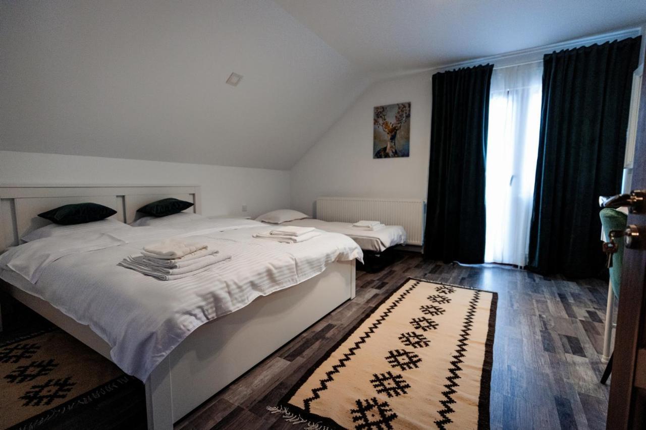 Pensiunea Hai In Maramures Birsana Ngoại thất bức ảnh